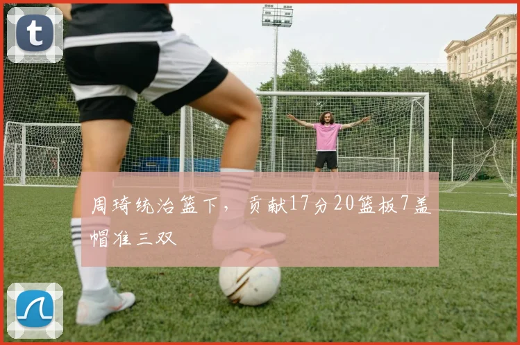 周琦统治篮下，贡献17分20篮板7盖帽准三双
