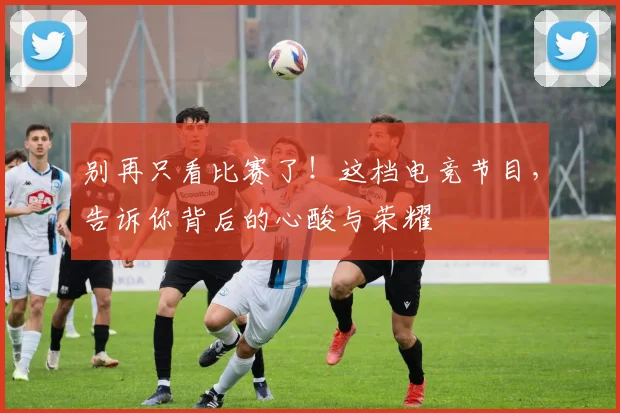 别再只看比赛了！这档电竞节目，告诉你背后的心酸与荣耀