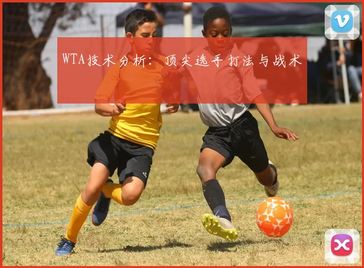 WTA技术分析：顶尖选手打法与战术
