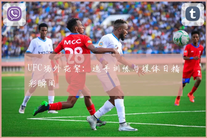 UFC场外花絮：选手训练与媒体日精彩瞬间