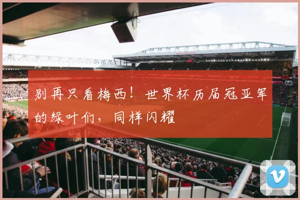 别再只看梅西！世界杯历届冠亚军的绿叶们，同样闪耀