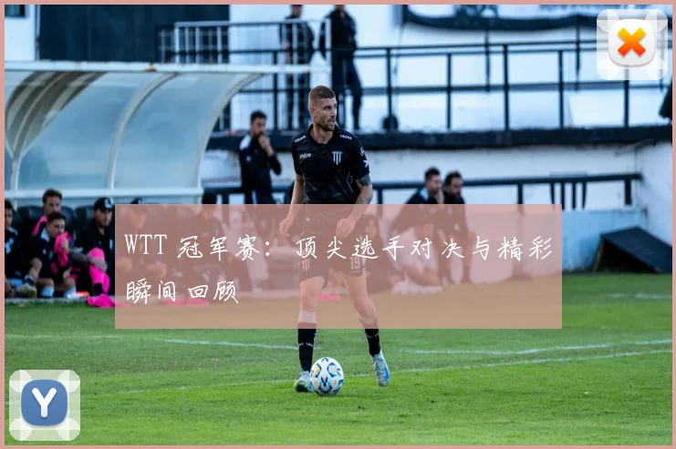 WTT 冠军赛：顶尖选手对决与精彩瞬间回顾