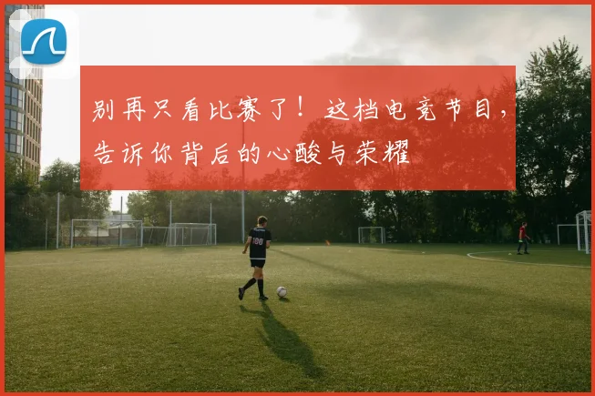 别再只看比赛了！这档电竞节目，告诉你背后的心酸与荣耀