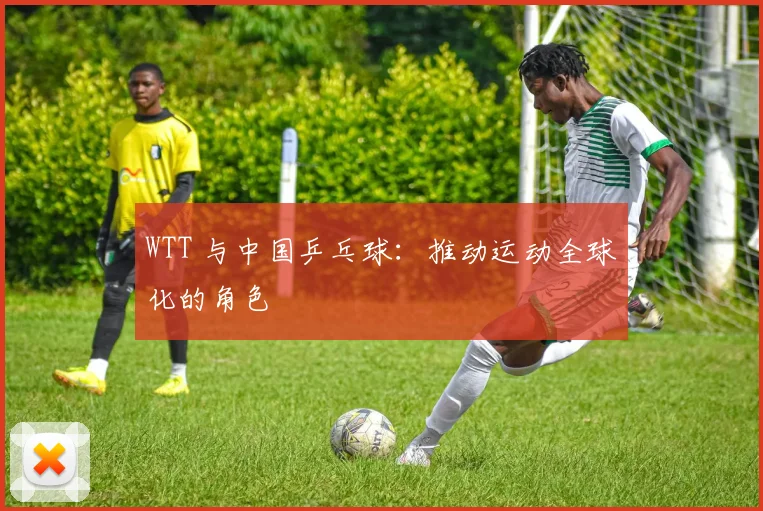 WTT 与中国乒乓球：推动运动全球化的角色
