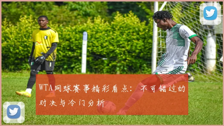 WTA网球赛事精彩看点:不可错过的对决与冷门分析