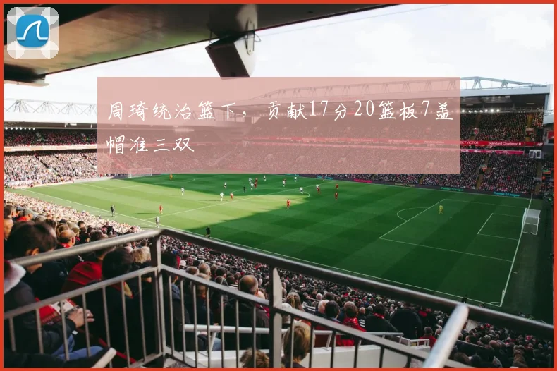 周琦统治篮下，贡献17分20篮板7盖帽准三双
