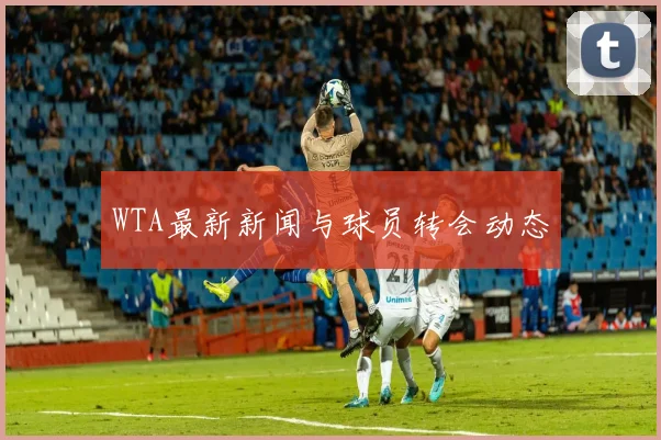 WTA最新新闻与球员转会动态