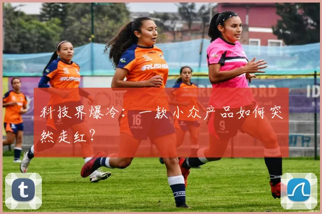 科技界爆冷：一款小众产品如何突然走红？