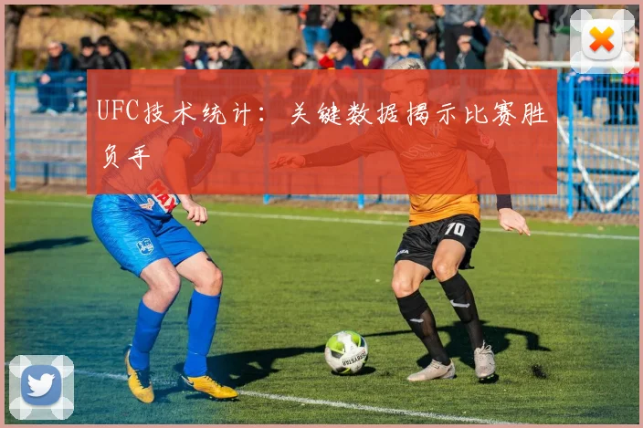 UFC技术统计：关键数据揭示比赛胜负手
