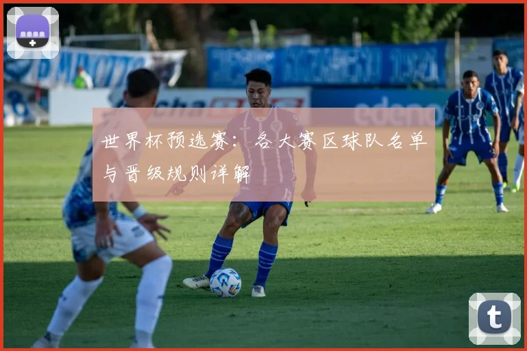 世界杯预选赛:各大赛区球队名单与晋级规则详解