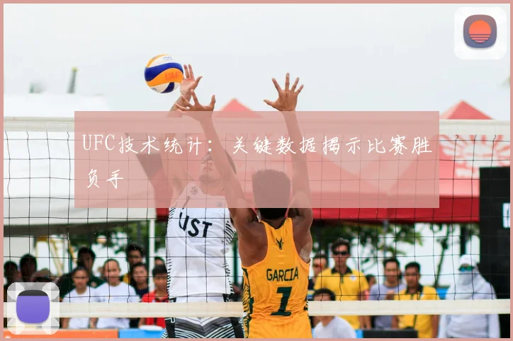 UFC技术统计：关键数据揭示比赛胜负手